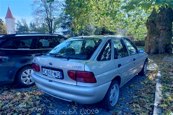 escort Bevaix