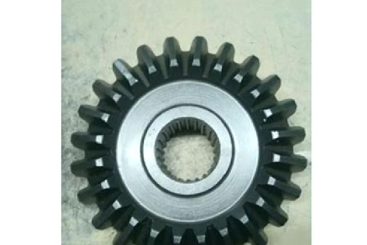 escort Bevel