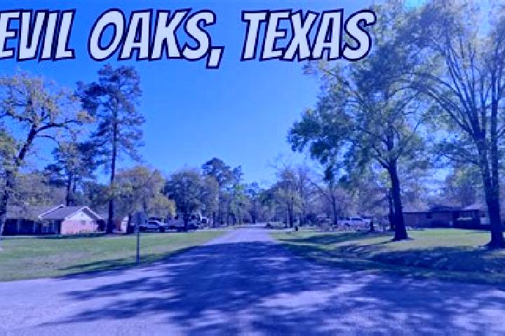escort Bevil Oaks