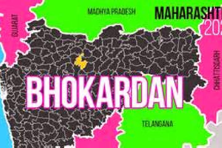 escort Bhokardan