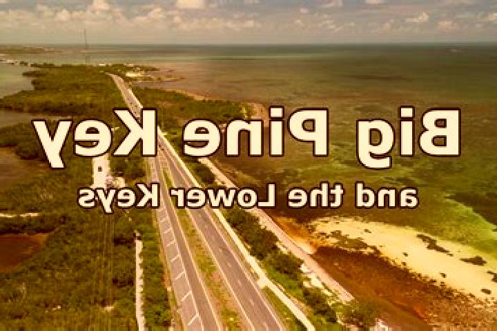 escort Big Pine Key
