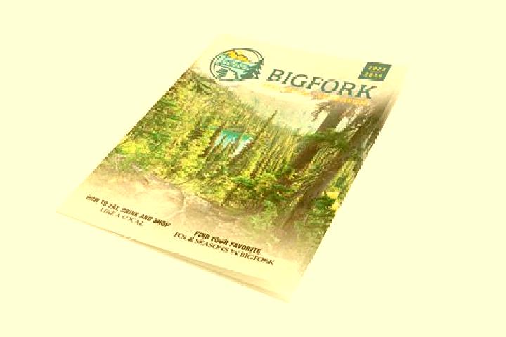escort Bigfork