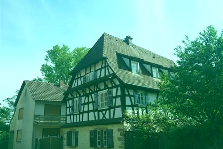 escort Billigheim-Ingenheim