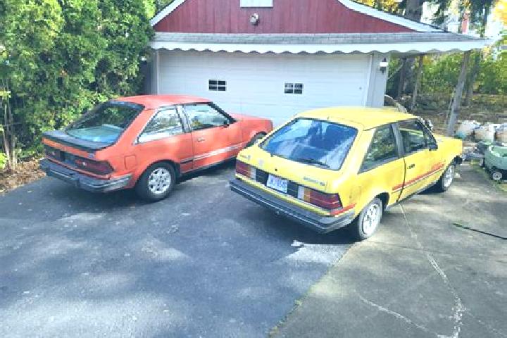 escort Binau