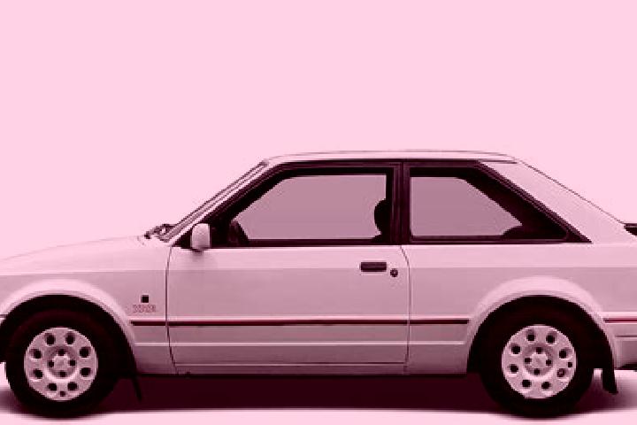 escort Birgi