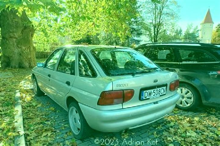 escort Biskupija