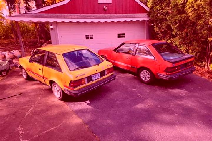 escort Bitou