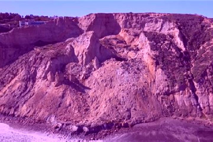 escort Blacks Beach