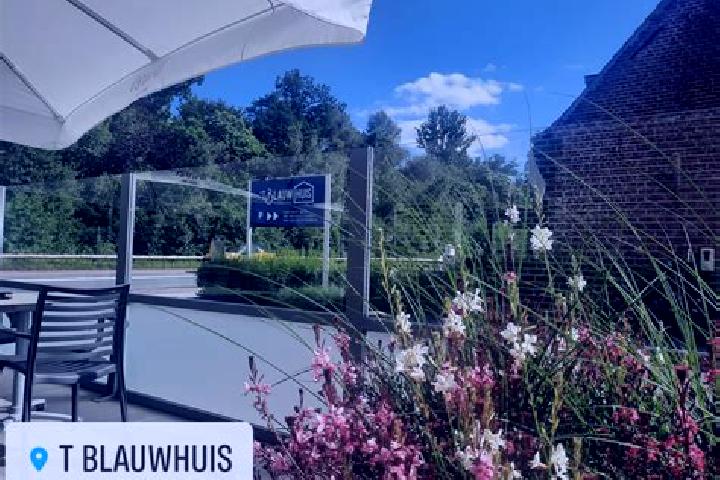 escort Blauwhuis