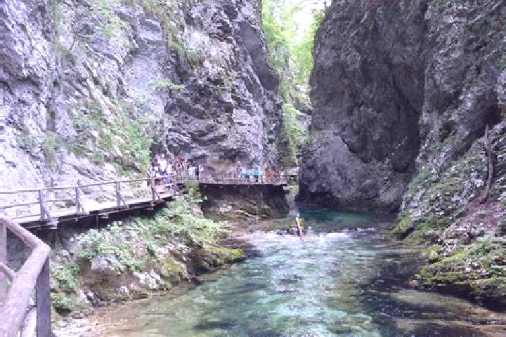 escort Blejska Dobrava