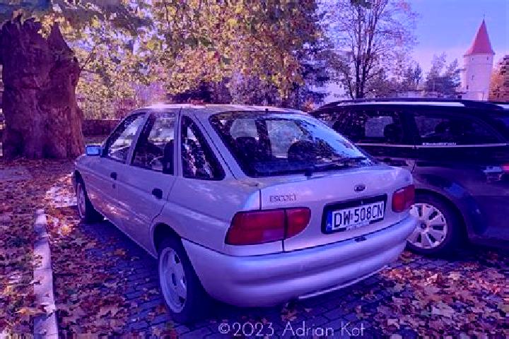 escort Bludesch