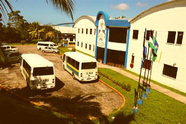 escort Bluefields