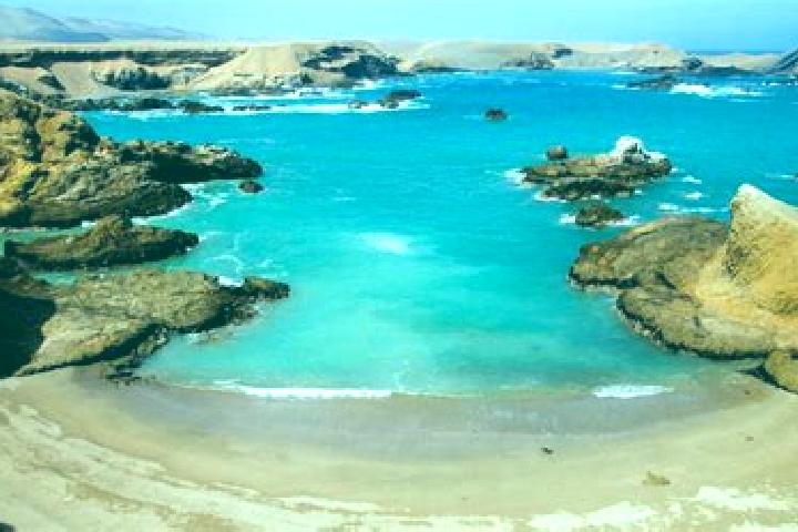 escort Boca de Lima