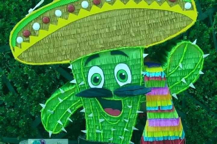 escort Boca Nopal