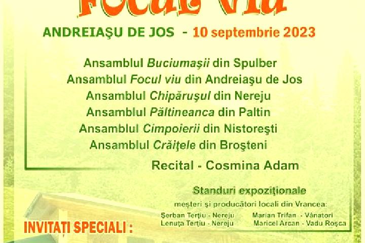escort Bodestii de Jos