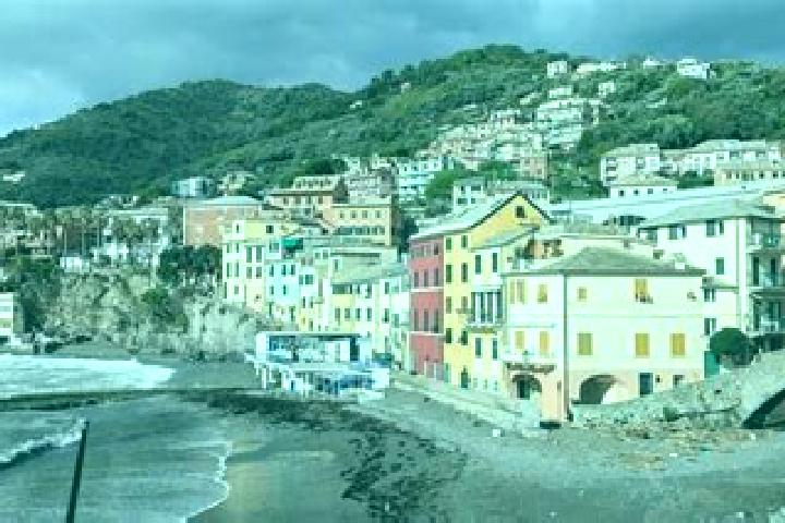 escort Bogliasco