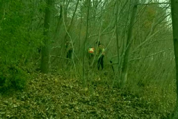 escort Bois-des-Filion