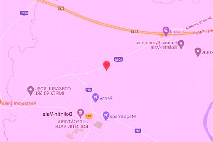 escort Bolintin Vale