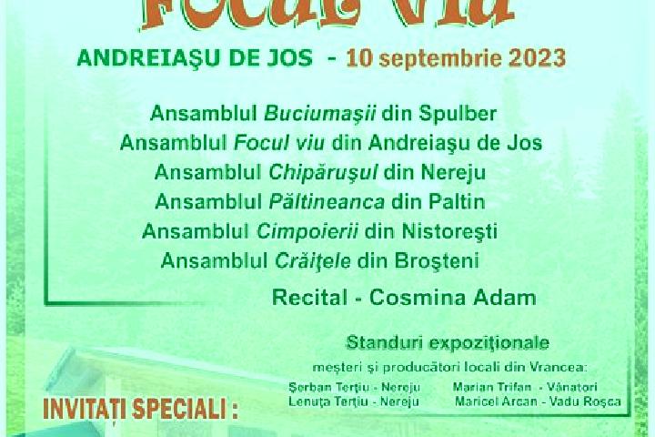 escort Bordestii de Jos