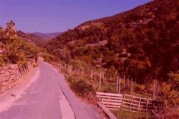 escort Bordighera