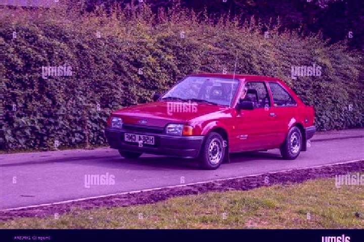 escort Borehamwood