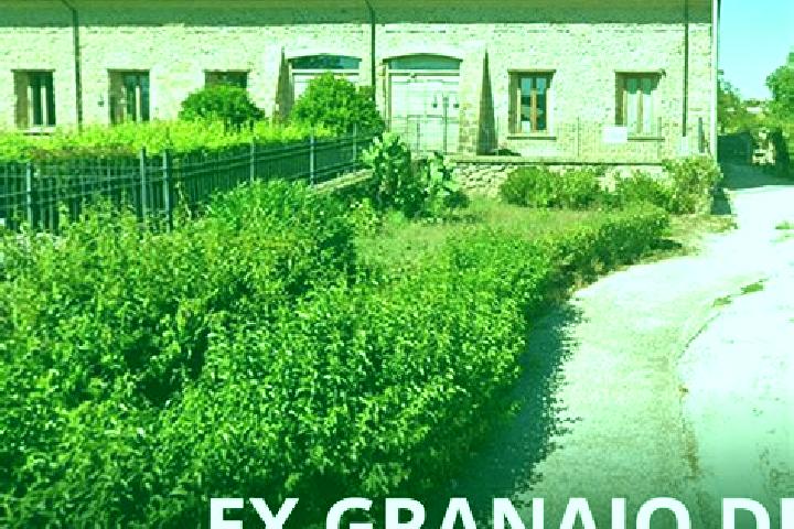 escort Borgo Montello