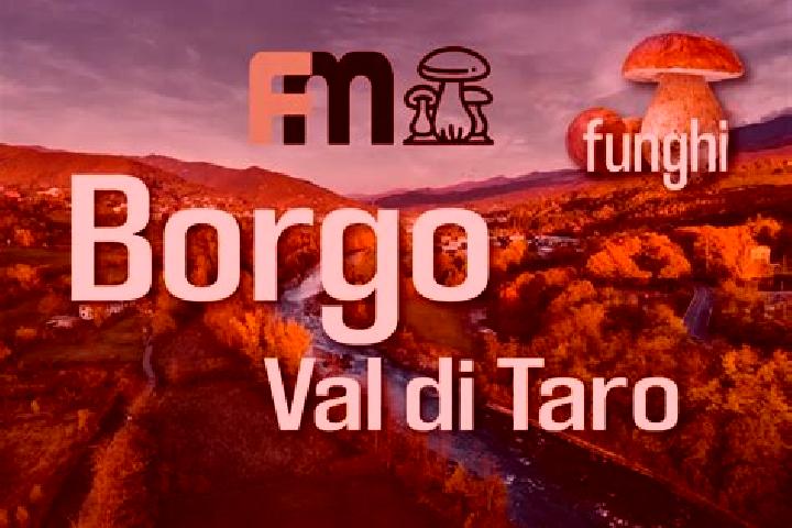 escort Borgo Val di Taro