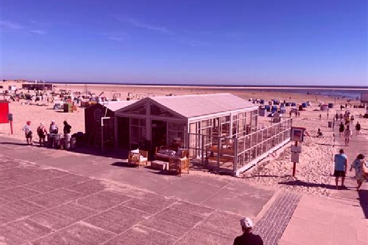 escort Borkum
