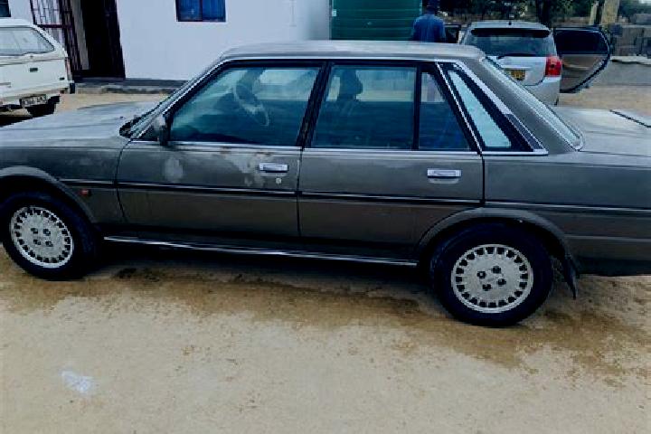 escort Borolong