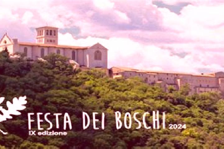 escort Boschi Sant Anna