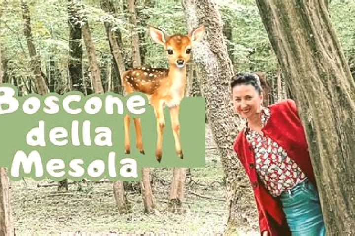 escort Bosco Mesola