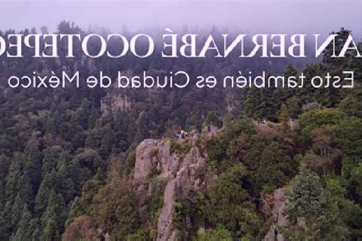 escort Bosques de la Magdalena
