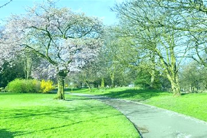 escort Bossley Park