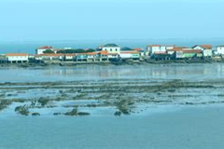 escort Bourcefranc-le-Chapus
