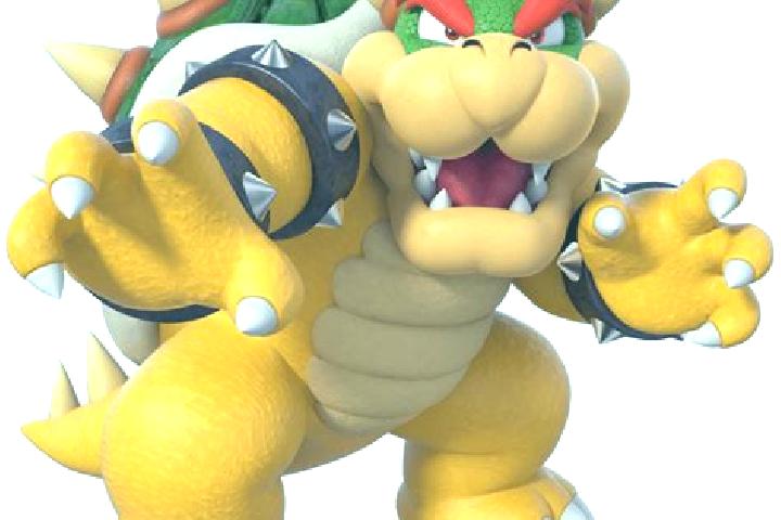 escort Bowser