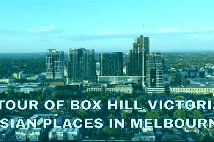 escort Box Hill North