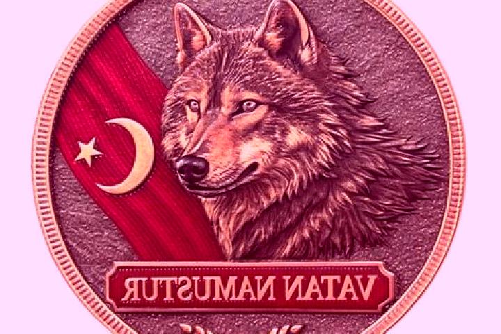 escort Bozkurt