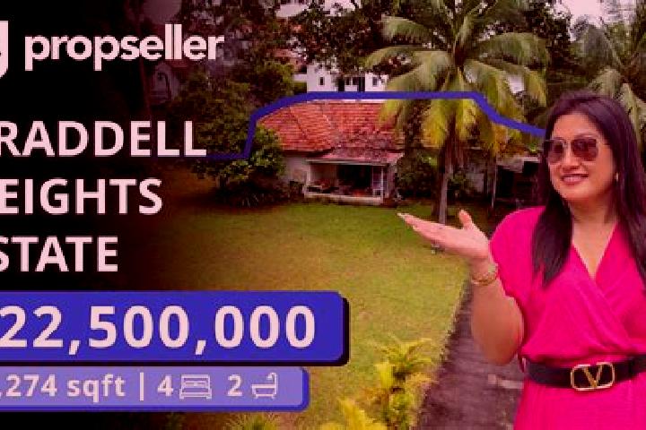 escort Braddell Heights Estate