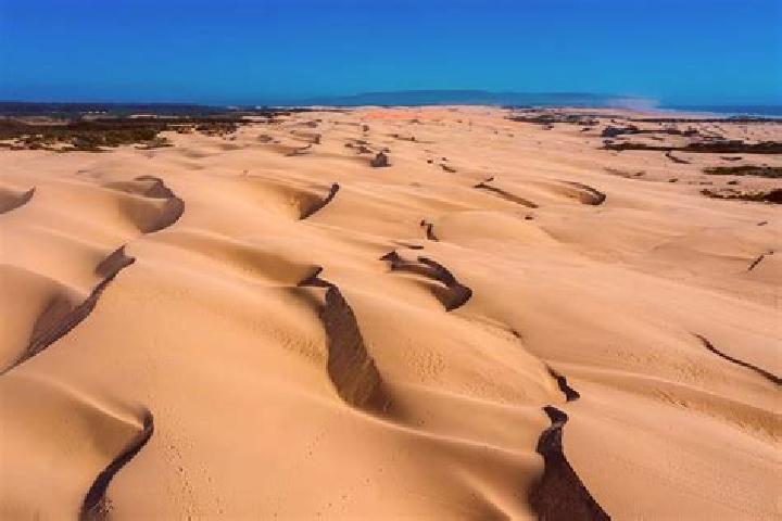escort Bray-Dunes