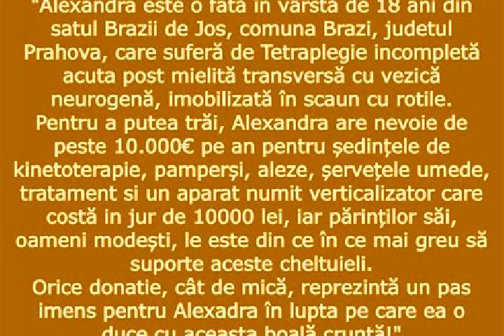 escort Brazii de Jos