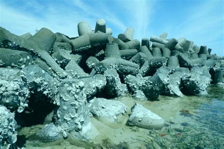 escort Breakwater