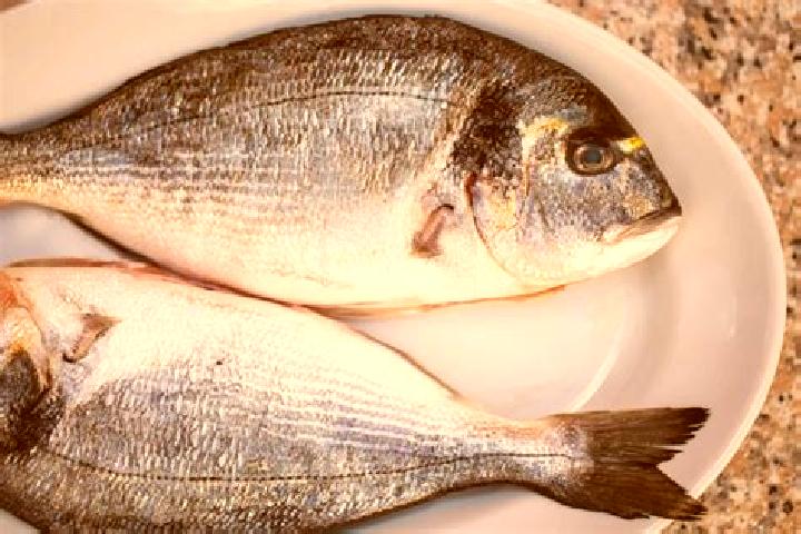 escort Bream