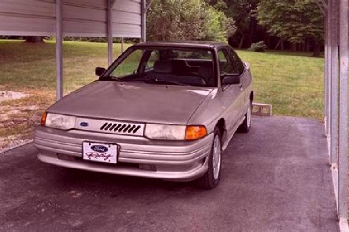 escort Brebi