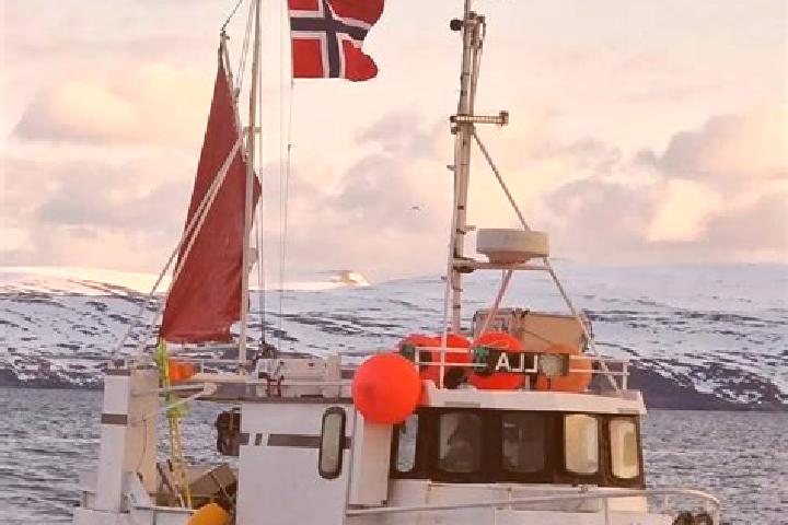 escort Breivikbotn
