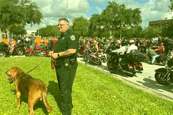 escort Brevard