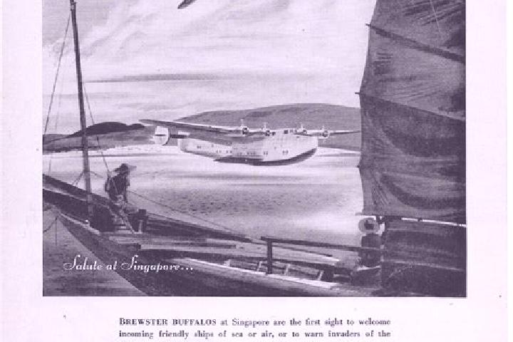 escort Brewster