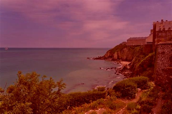 escort Bricqueville-sur-Mer
