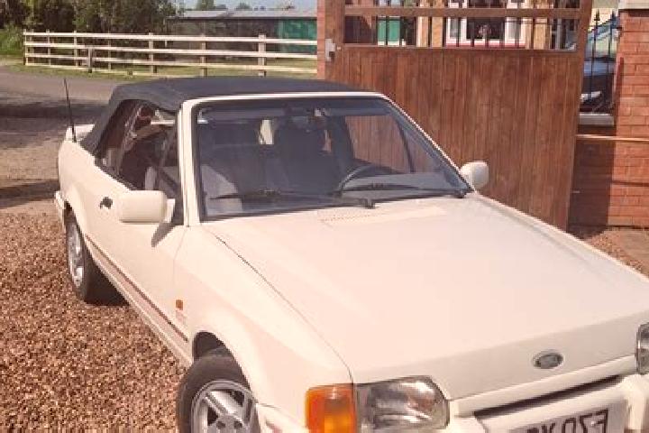 escort Bridgwater Forest