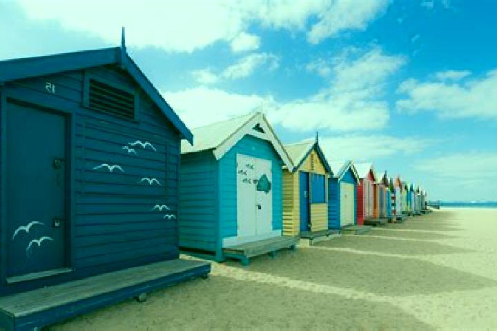 escort Brighton Beach