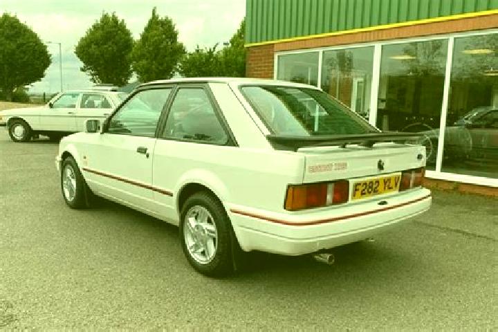 escort Brinkhorst